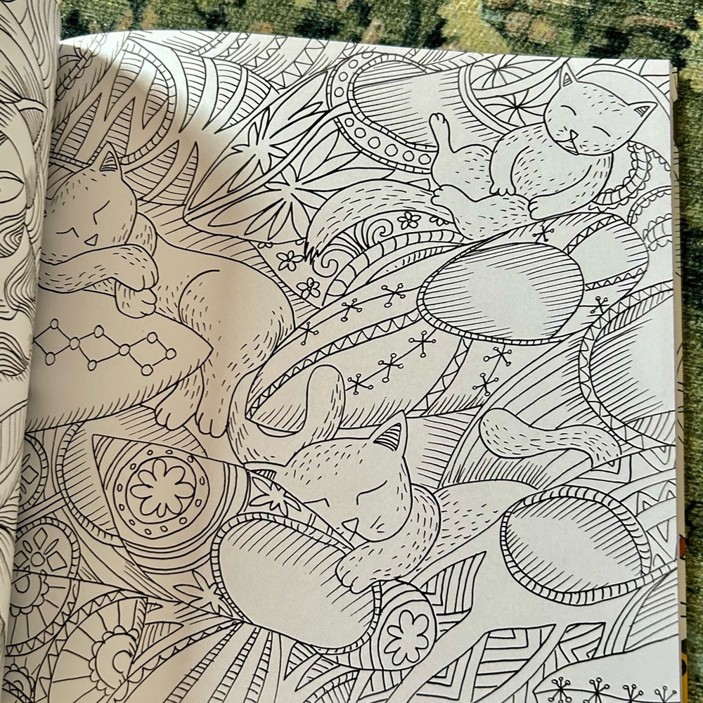 Cats Coloring for Mindfulness coloring book - Picture 3 of 4